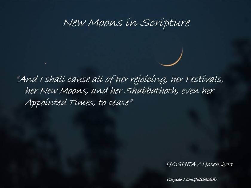 NEW MOON DAYS IN SCRIPTURE 11