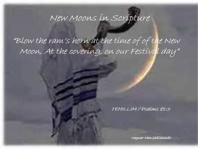 NEW MOON DAYS IN SCRIPTURE 14