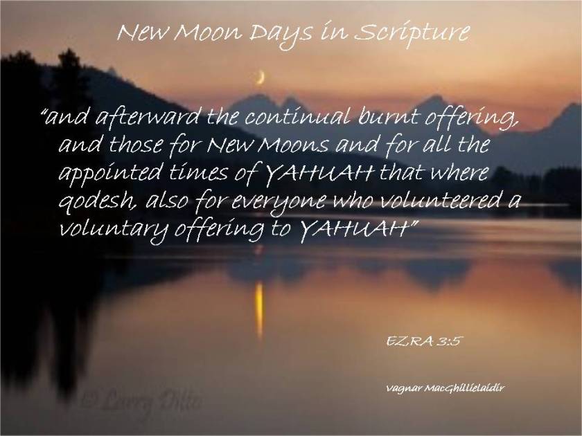 NEW MOON DAYS IN SCRIPTURE 15