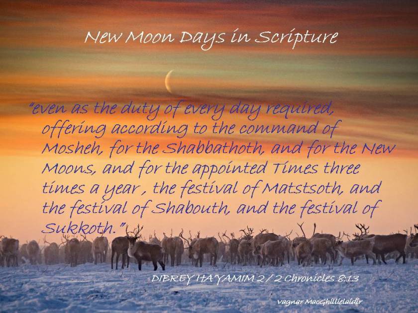 NEW MOON DAYS IN SCRIPTURE 19