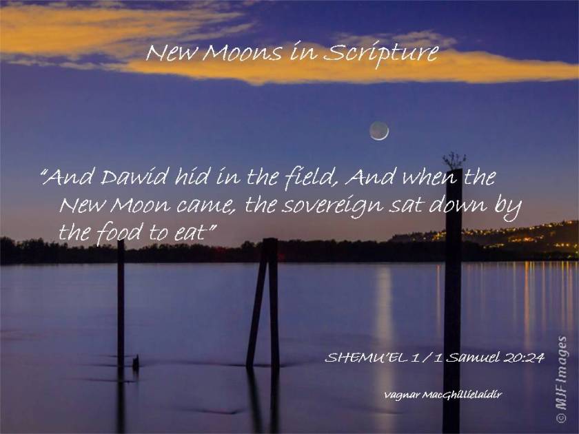 NEW MOON DAYS IN SCRIPTURE 3