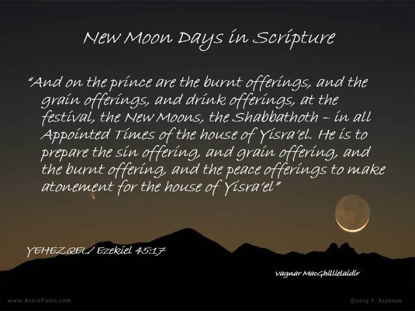 NEW MOON DAYS IN SCRIPTURE 8
