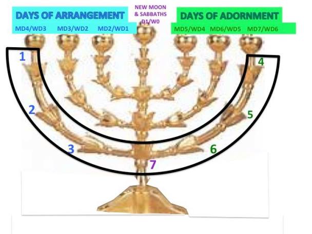 13620380_10207255752494602_601301620268277477_n