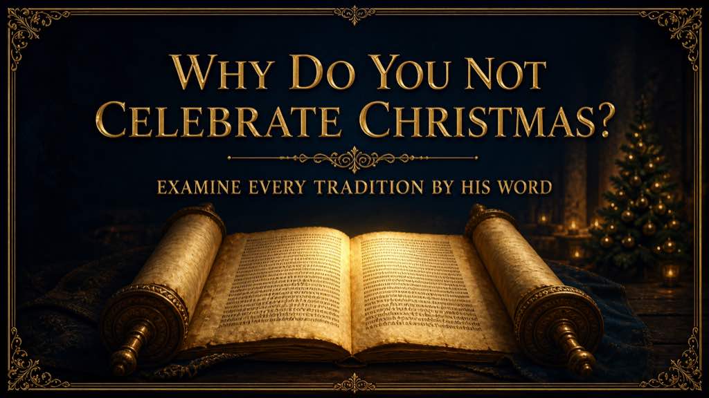 Why do you not celebrate Christmas?